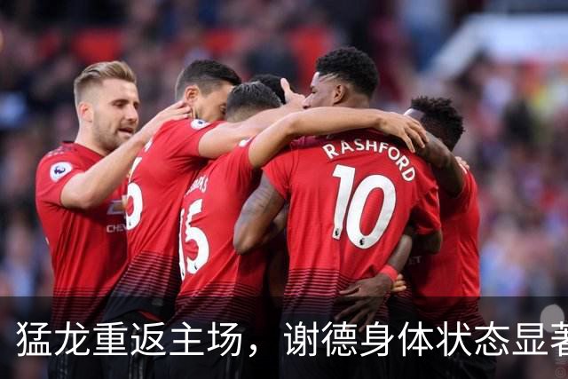 猛龙重返主场，谢德身体状态显著提升